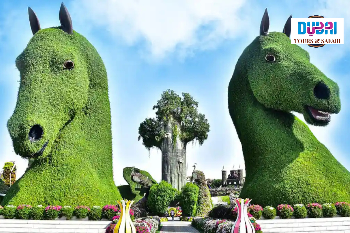 Horses miracle garden dubai
