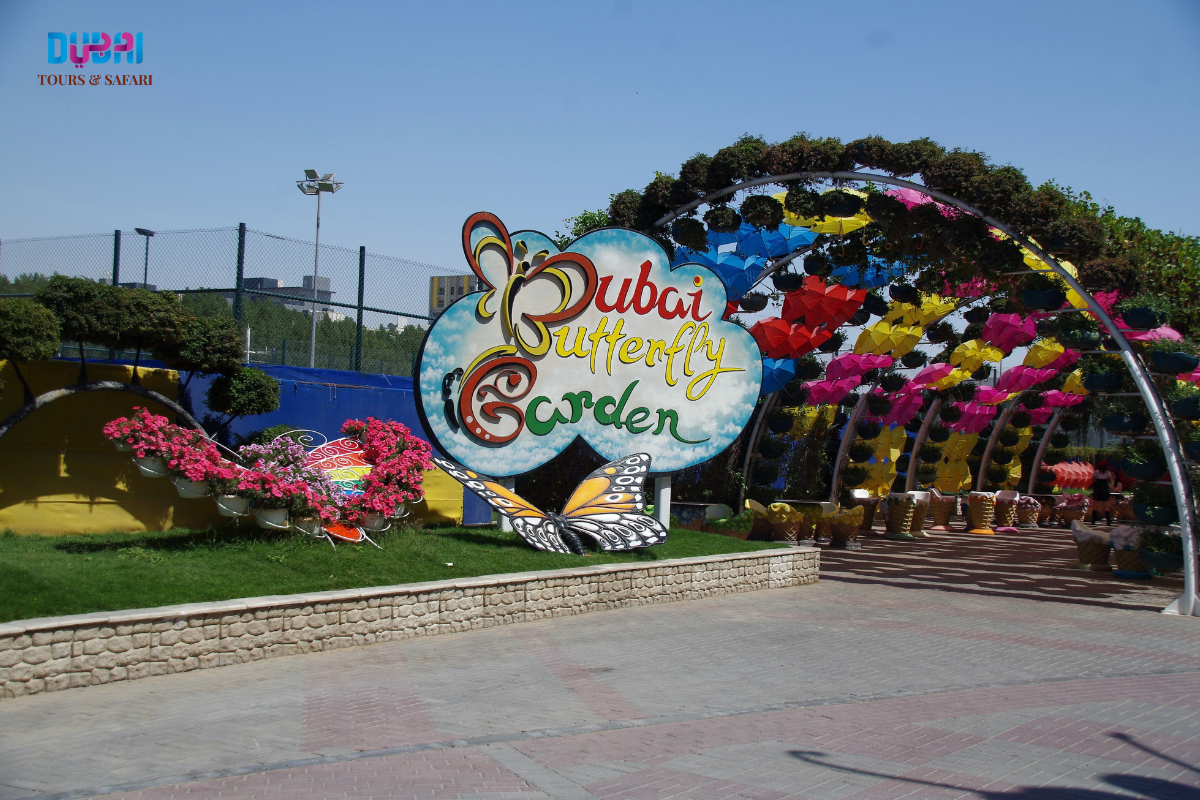 Dubai Butterfly garden