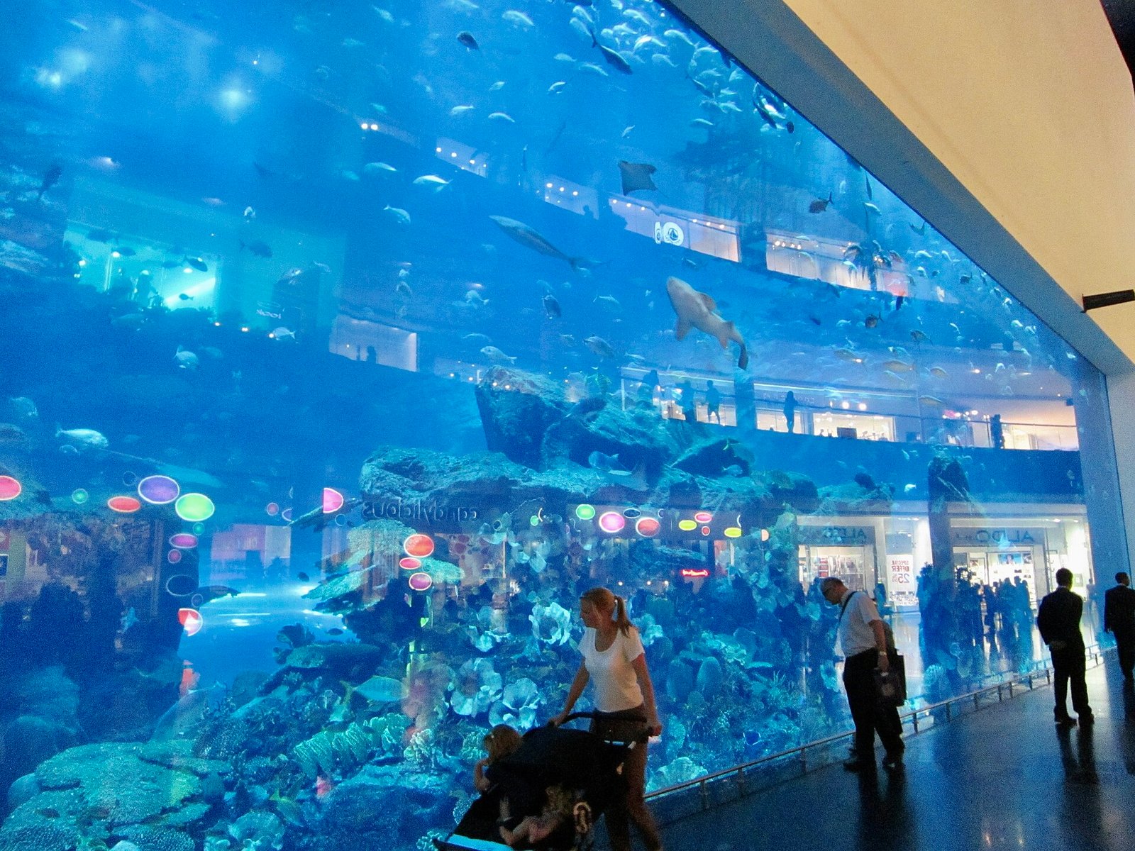 The giant Dubai Aquarium tank wall inside The Dubai Mall, with a shark and rays swimming past shoppers on the mall floor