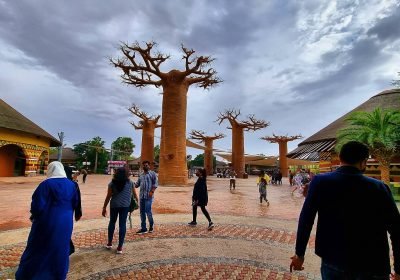 Dubai Safari Park Tickets 2026: Prices, Timings & What’s New