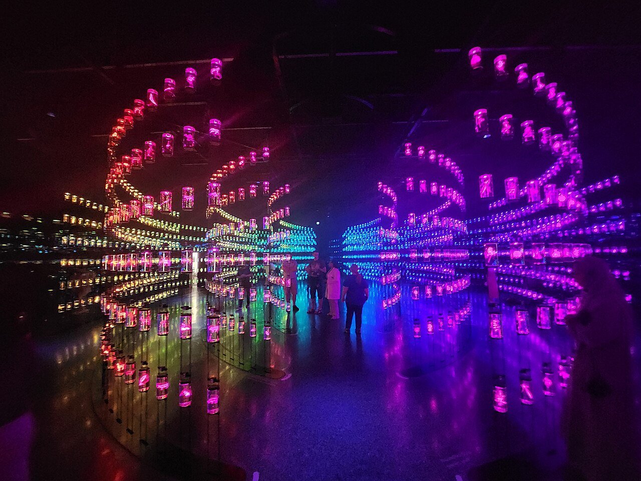 DNA Library at the Museum of the Future Dubai with glowing jars of species