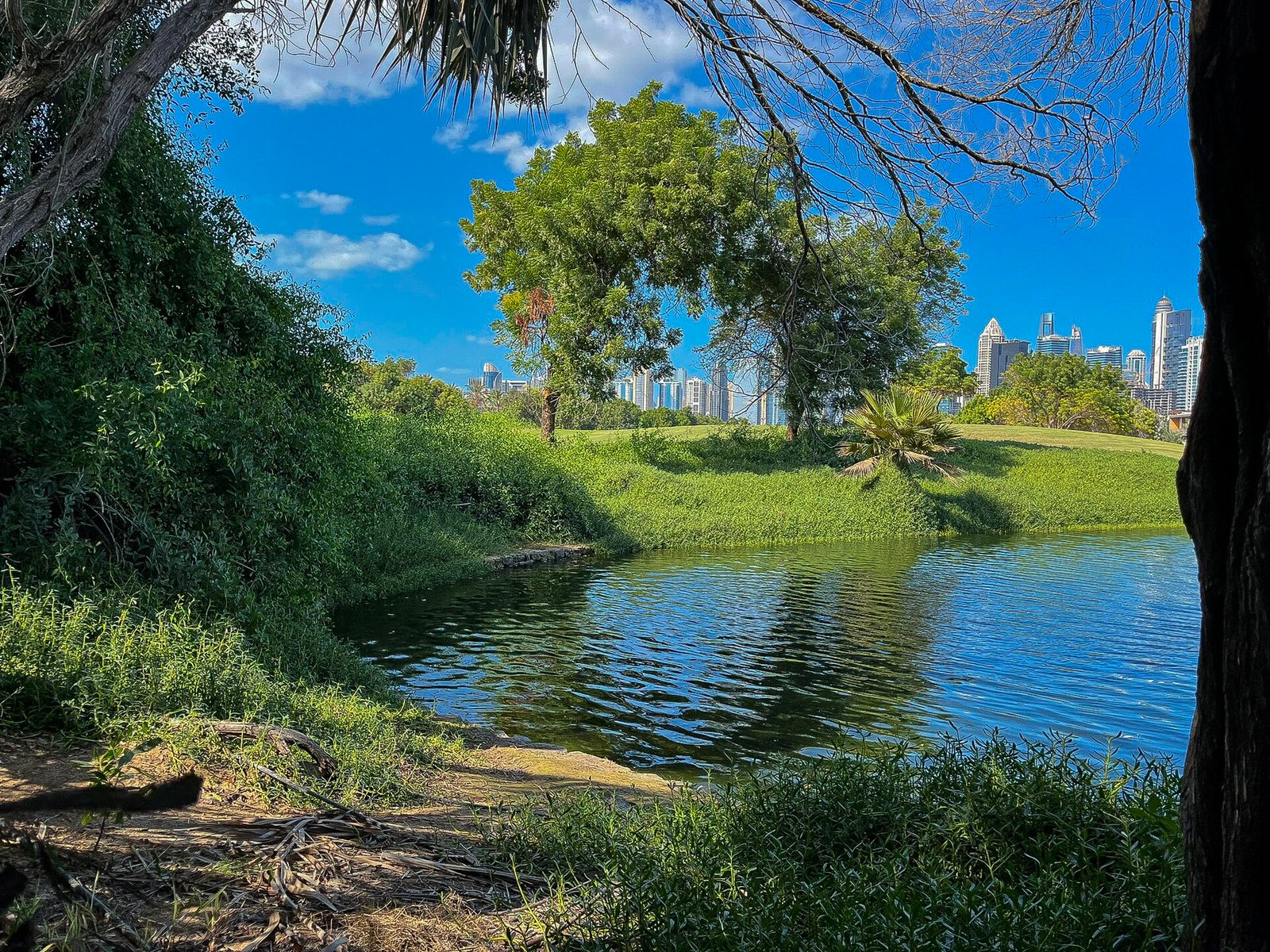 Emirates Hills lakeside in Dubai, the neighbourhood where Topgolf Dubai is located