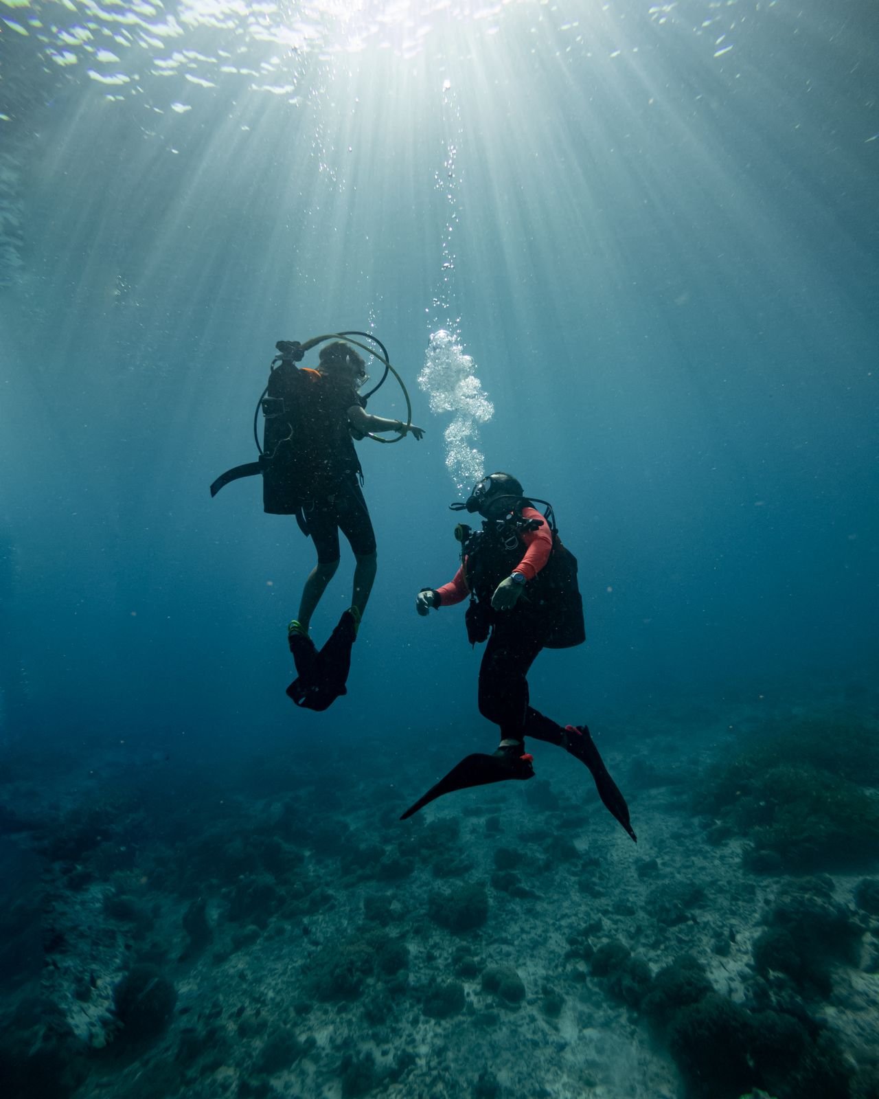 Certified divers descending at Deep Dive Dubai