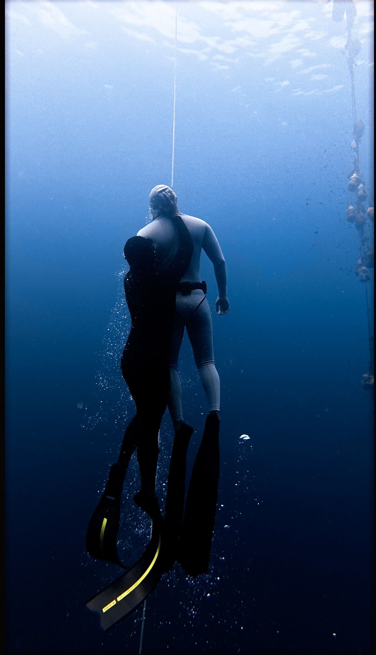 Freediver descending on a line at Deep Dive Dubai