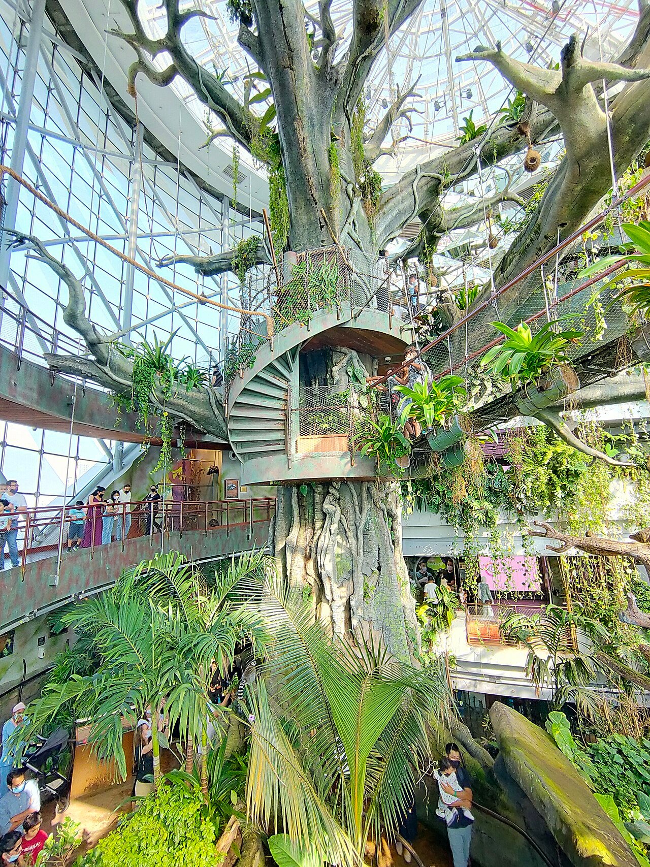 The giant tree and bridge inside the Green Planet Dubai bio-dome