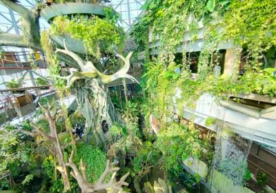 Green Planet Dubai: Real Ticket Prices, the Halloween Weeks and What Is Inside