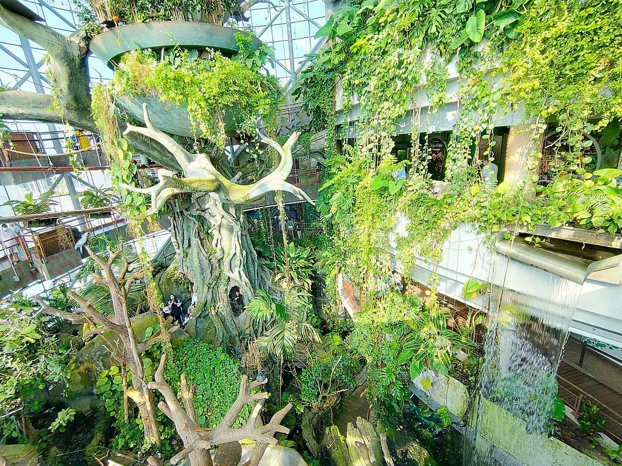 Green Planet Dubai rainforest dome interior with the giant tree and waterfall